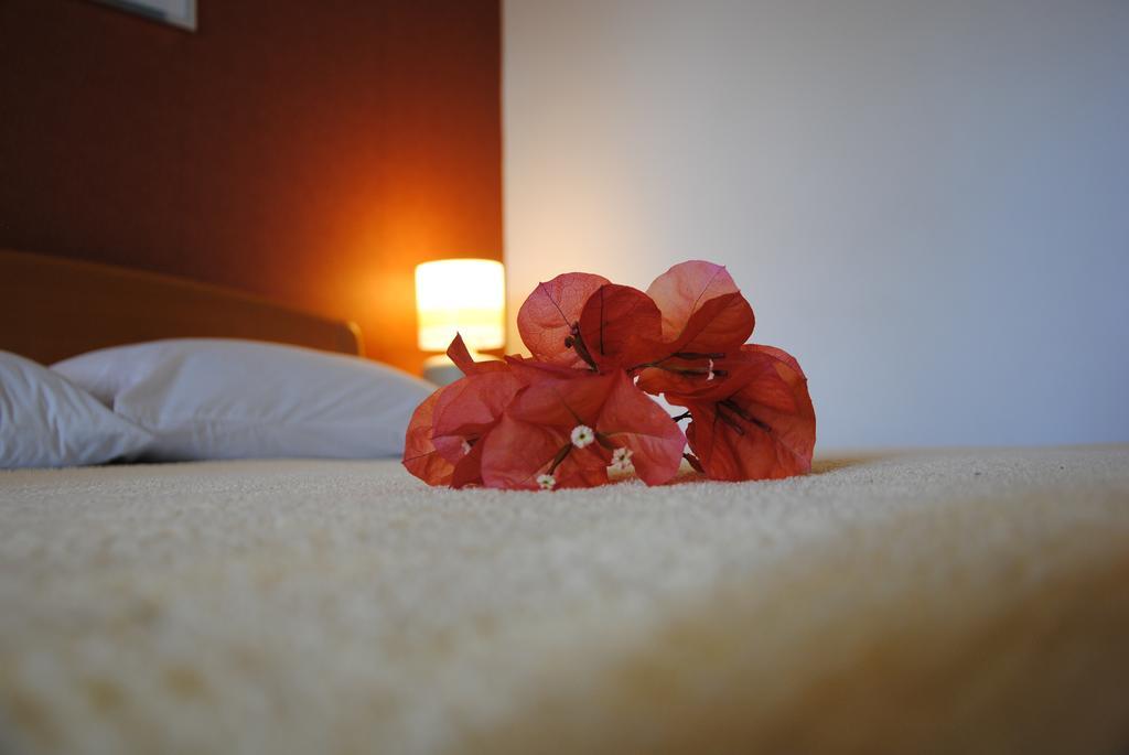 Apartments Villa Kukoljac Herceg Novi Eksteriør billede